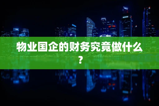 物业国企的财务究竟做什么？